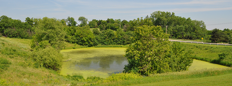 hillhurstpark-map